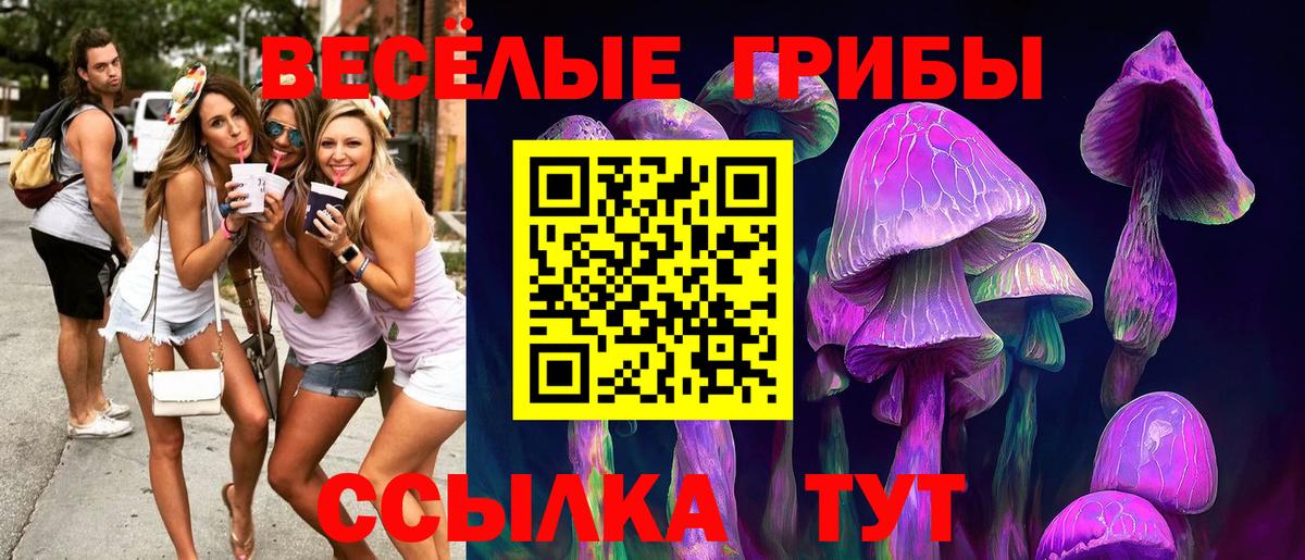 Анапа  Галлюциногенные грибы ЛСД  Галлюциногенные грибы прущие грибы  Вход с VPN 